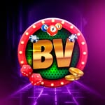 bingoaovivo
